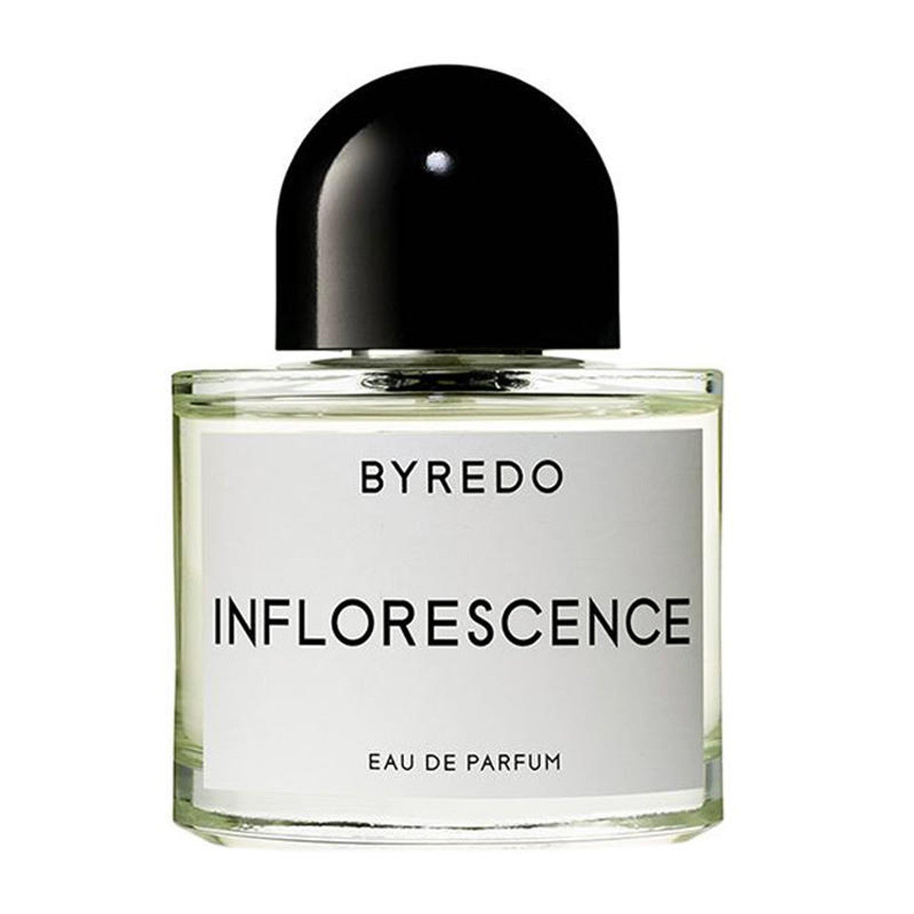 BYREDO - INFLORESCENCE
