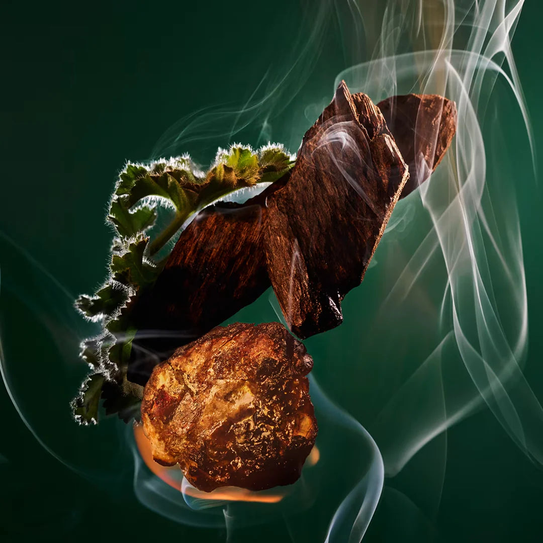 BULGARI LE GEMME - KOBRAA