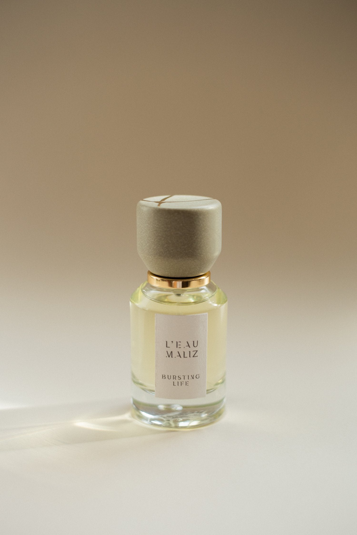 L'EAU MALIZ - Chapter 4: BURSTING LIFE
