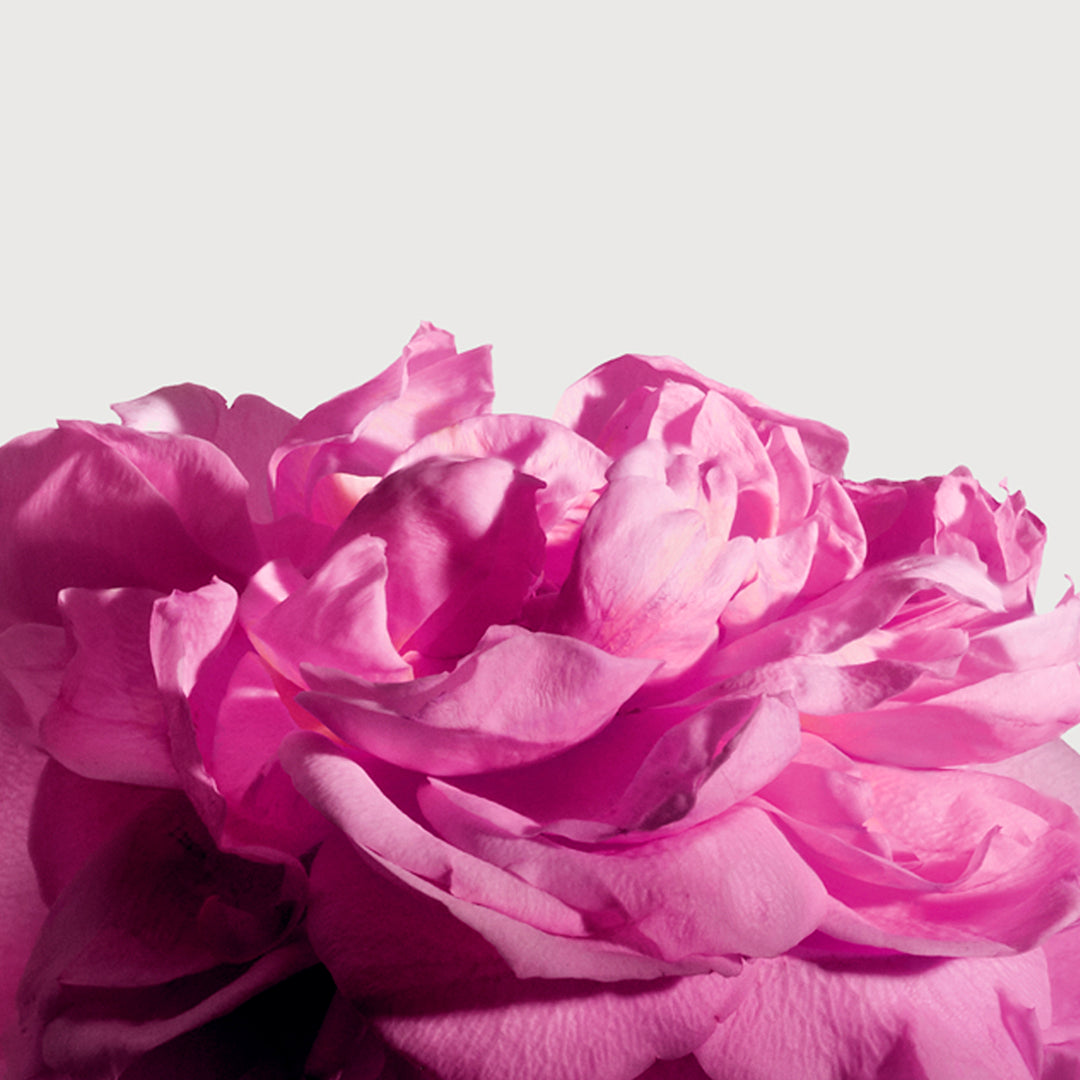 MATIERE PREMIERE - RADICAL ROSE EXTRAIT DE PARFUM
