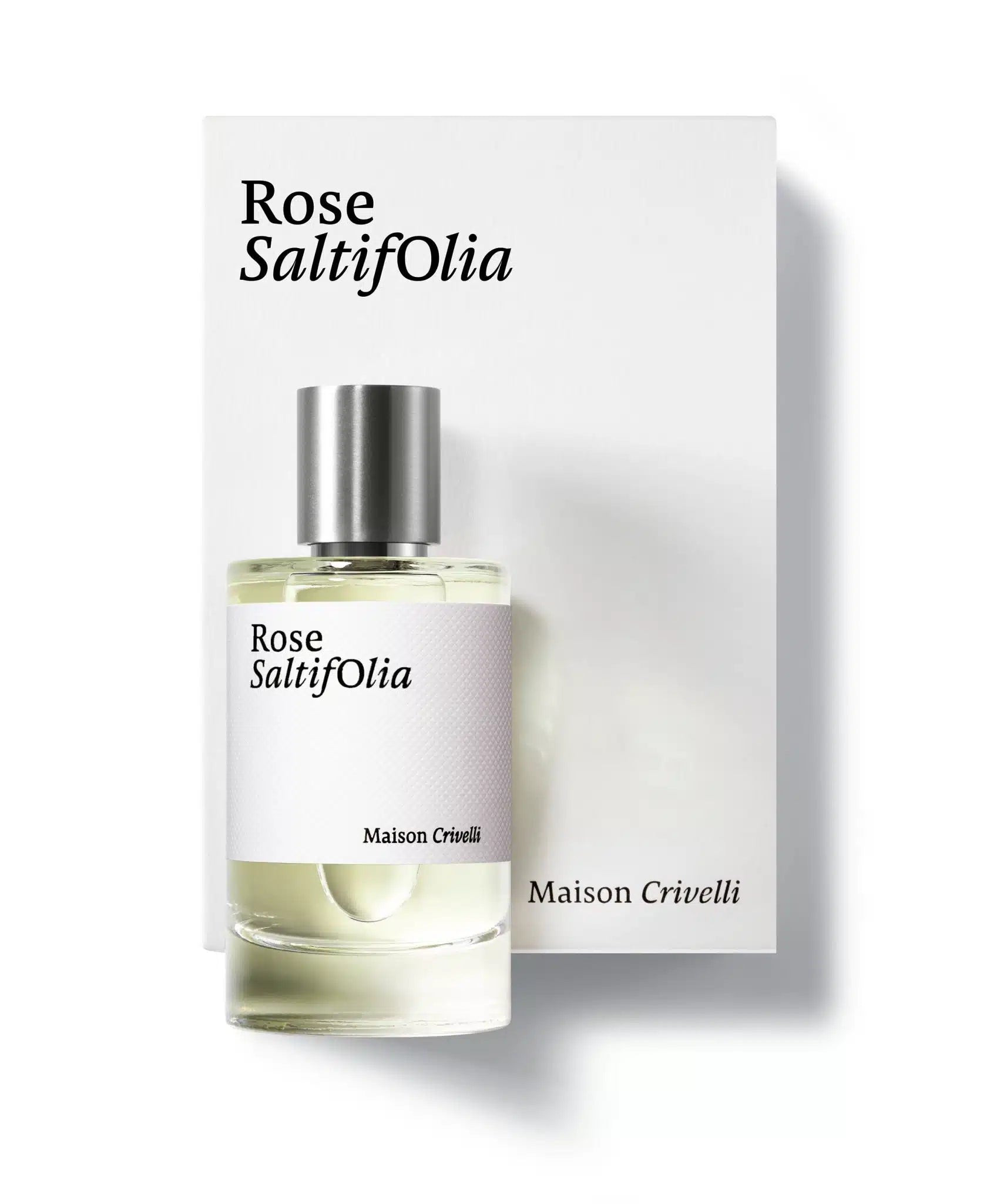 MAISON CRIVELLI - ROSE SALTIFOLIA