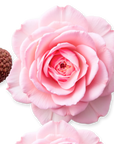 PARFUMS DE MARLY - DELINA HAIR PERFUME