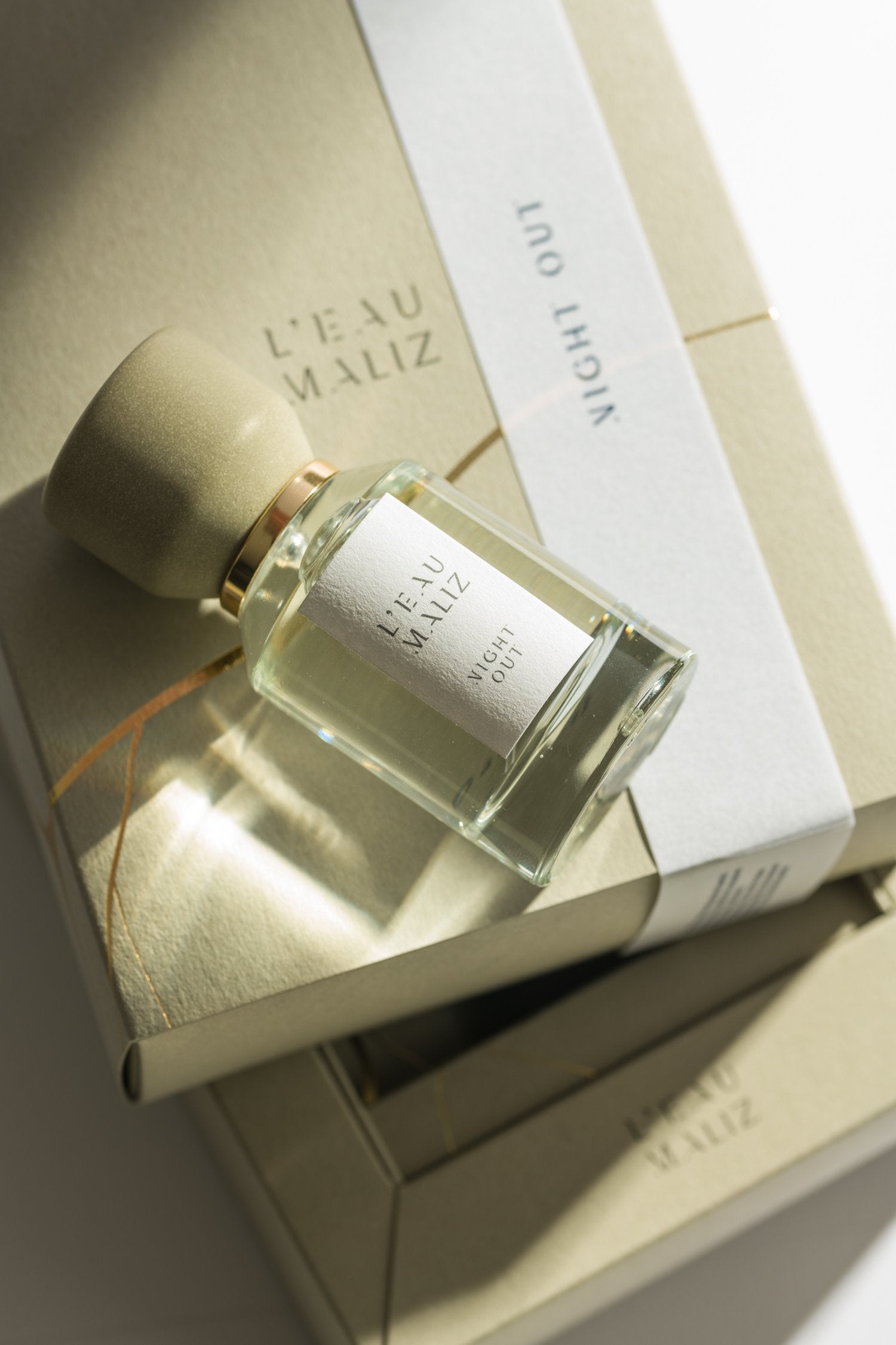 L'EAU MALIZ - Chapter 1: NIGHT OUT