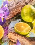 ROJA PARFUMS - OCEANIA PARFUM