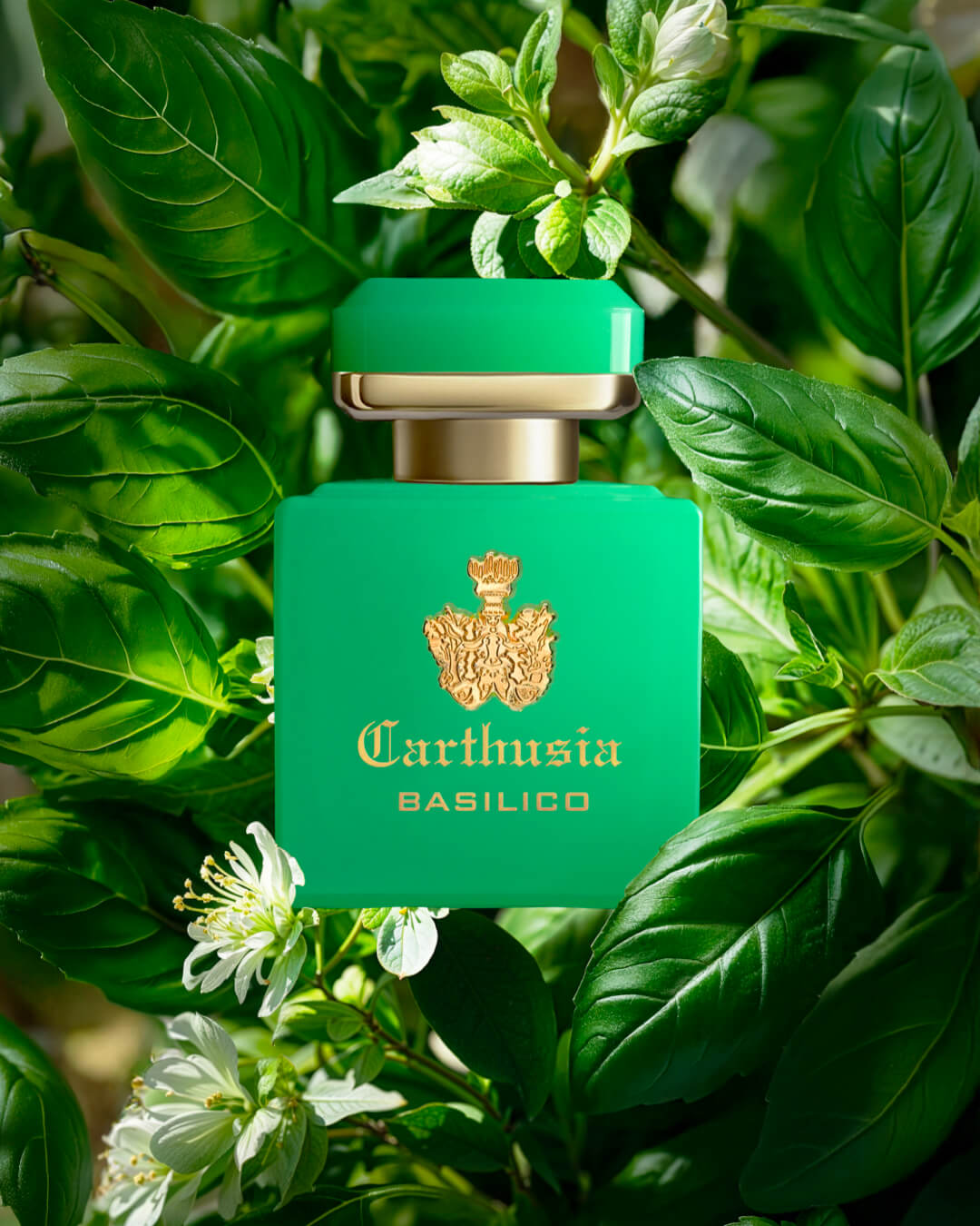 CARTHUSIA - INTENSO DI BASILICO