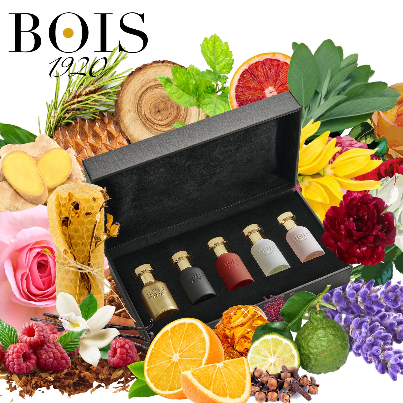 BOIS 1920 - KIT ORO