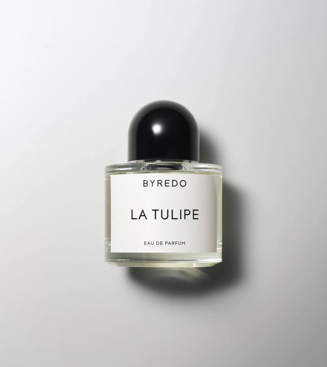 BYREDO - LA TULIPE