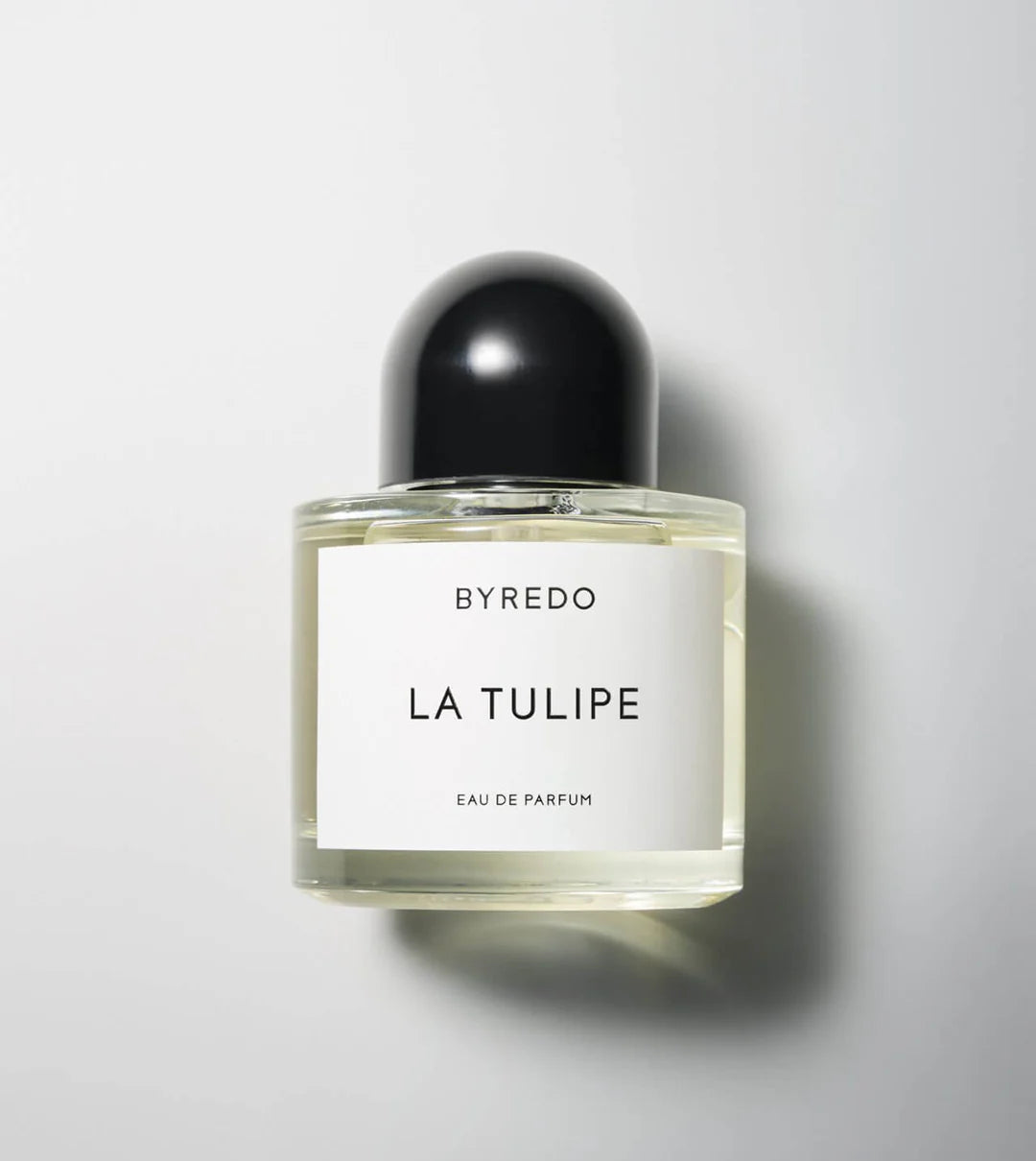 BYREDO - LA TULIPE
