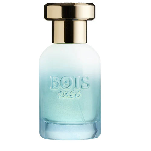 BOIS 1920 - MARASMA