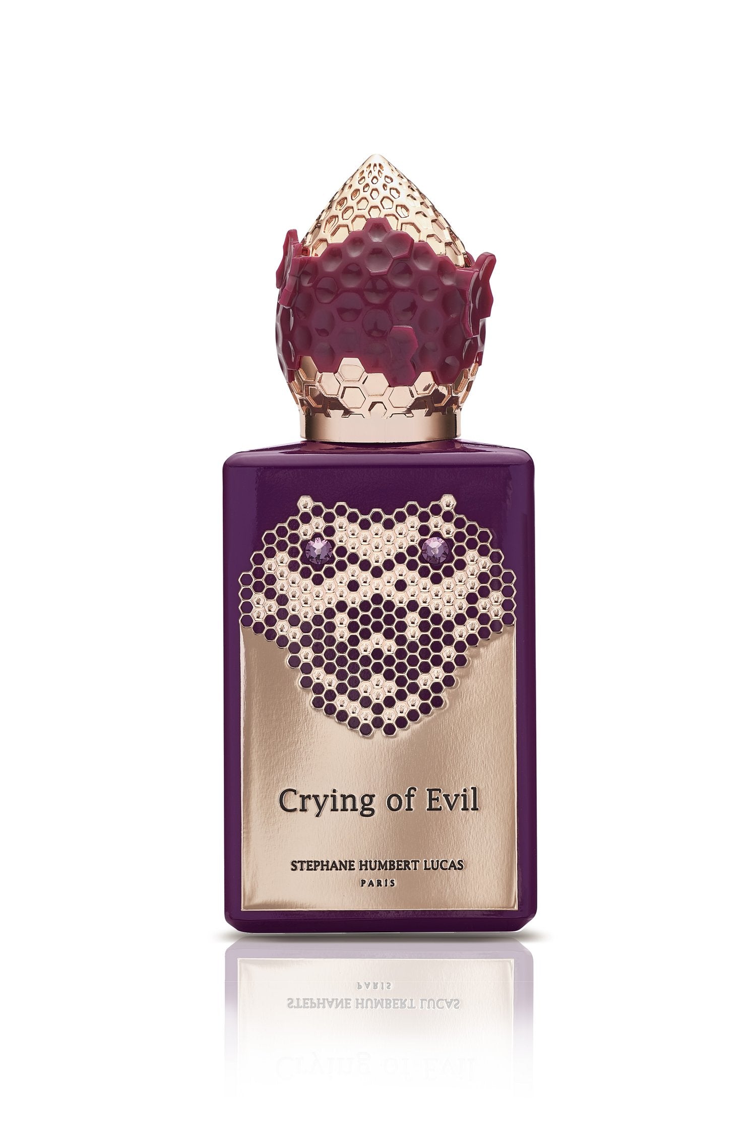 STEPHANE HUMBERT LUCAS - CRYNG OF EVIL