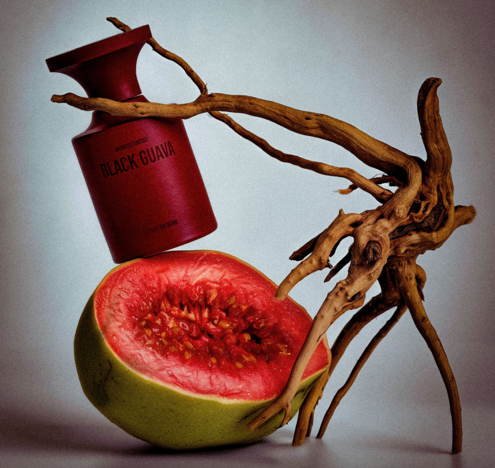 BORN TO STAND OUT - BLACK GUAVA