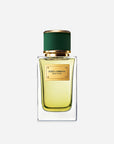 DOLCE & GABBANA - VELVET VETIVER EAU DE PARFUM