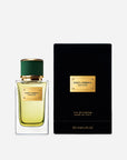 DOLCE & GABBANA - VELVET VETIVER EAU DE PARFUM