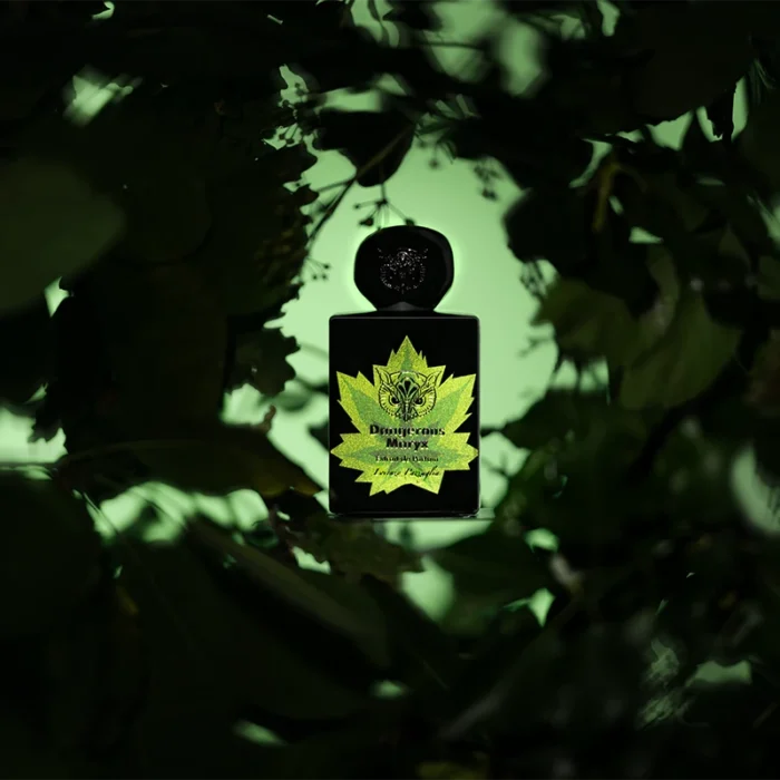 LORENZO PAZZAGLIA - DANGEROUS MARYX