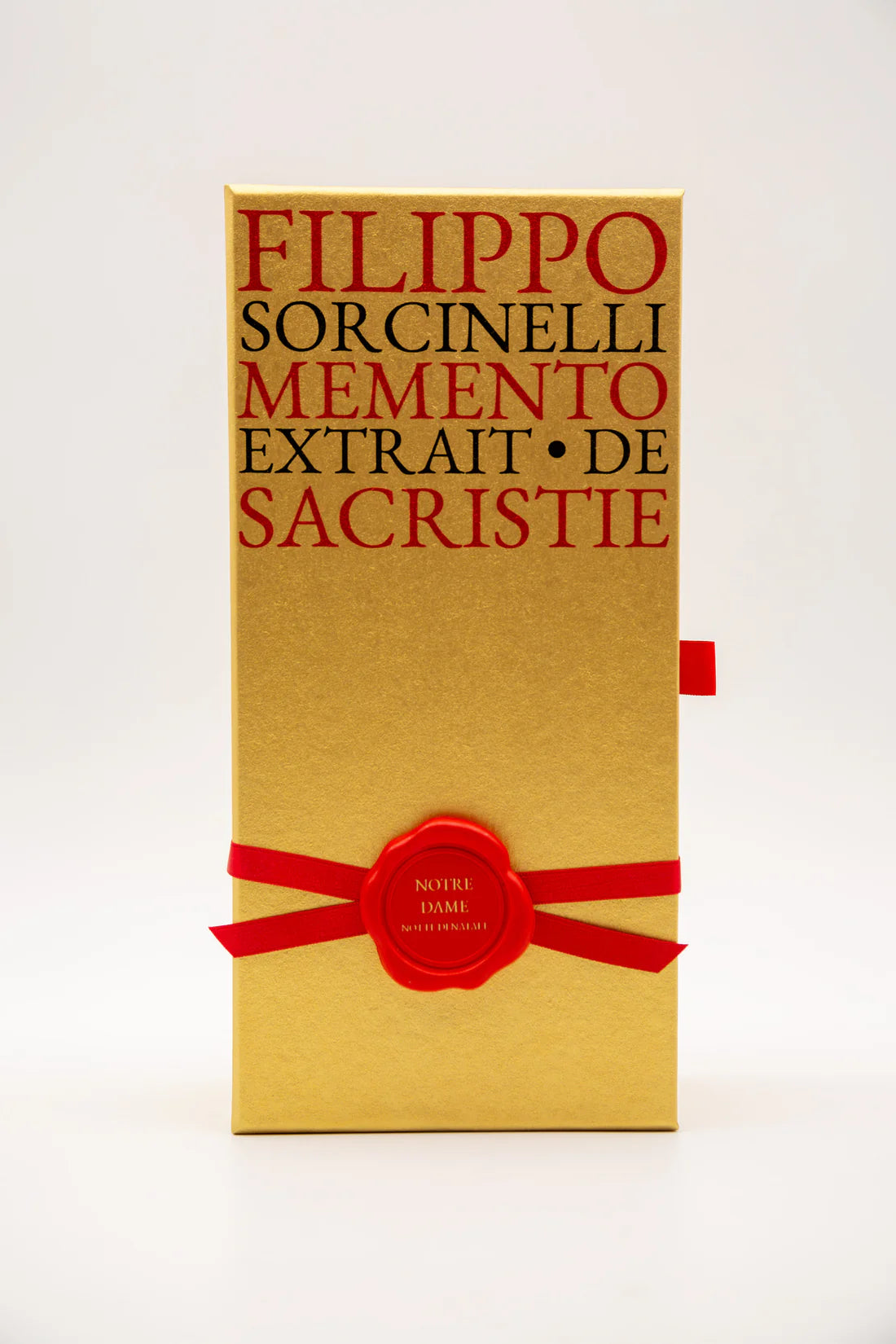 FILIPPO SORCINELLI - NOTRE DAME LA NOTTE DI NATALE
