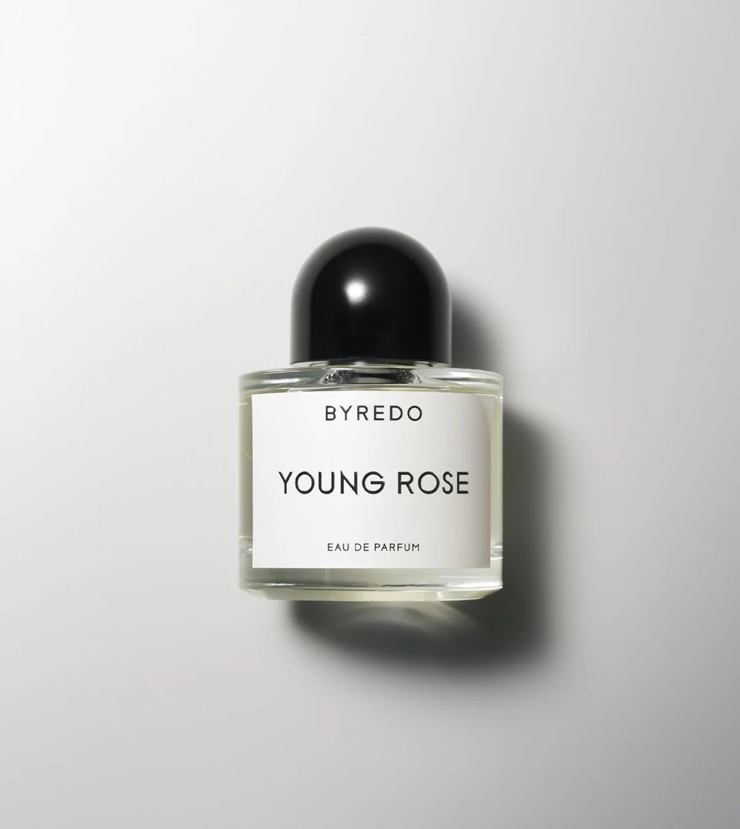BYREDO - YOUNG ROSE