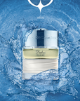 THE SPIRIT OF DUBAI - BAHAR