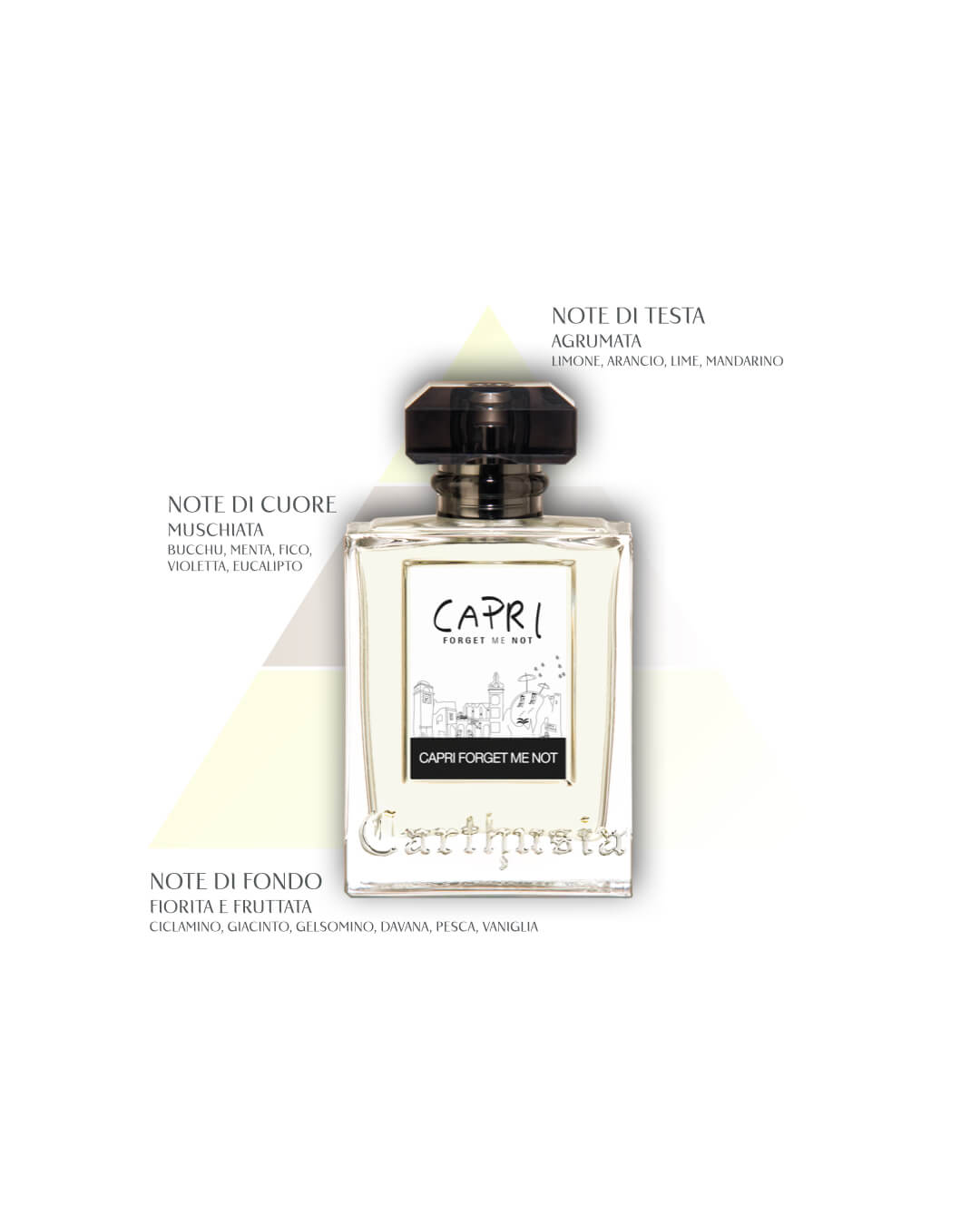 CARTHUSIA - CAPRI FOGET ME NOT