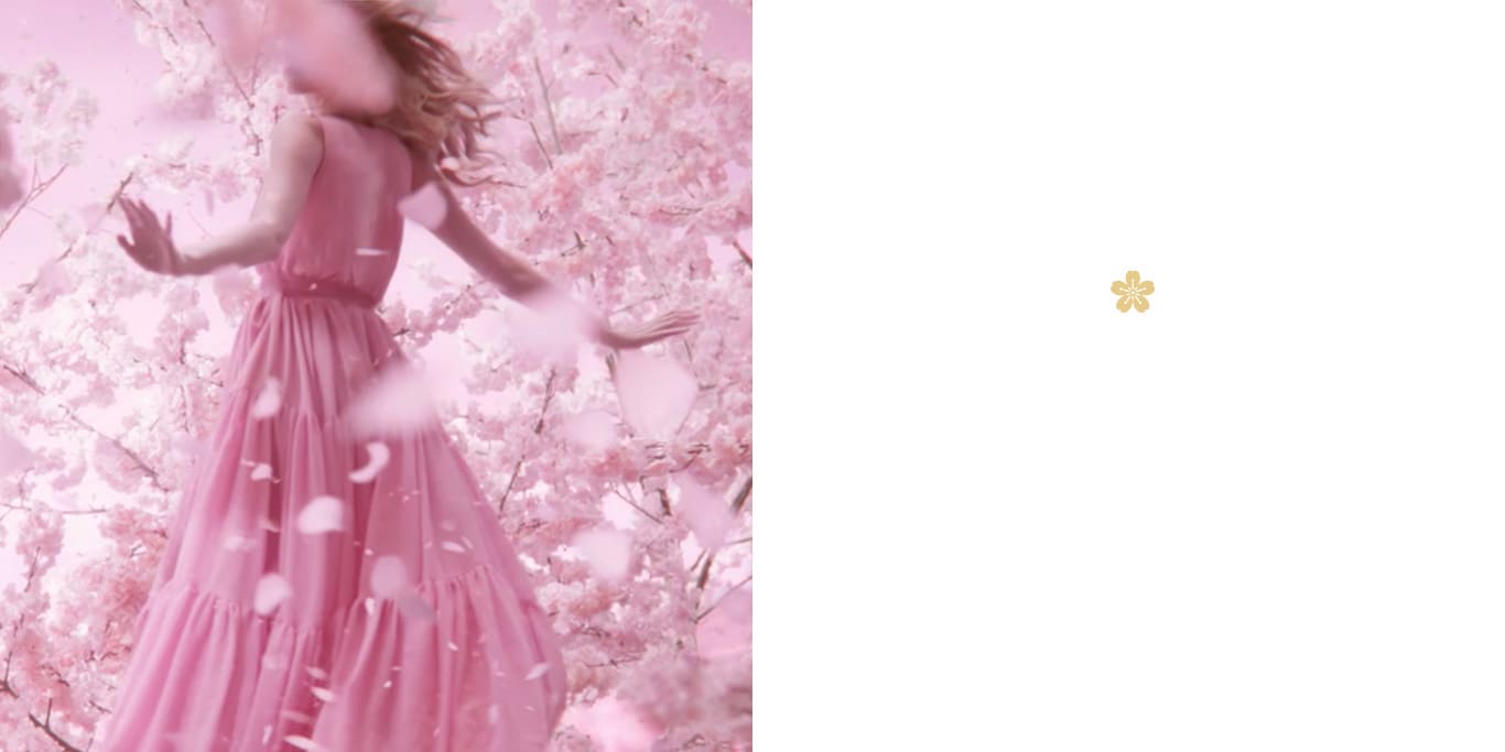 ESTEE LAUDER - DREAM DUSK