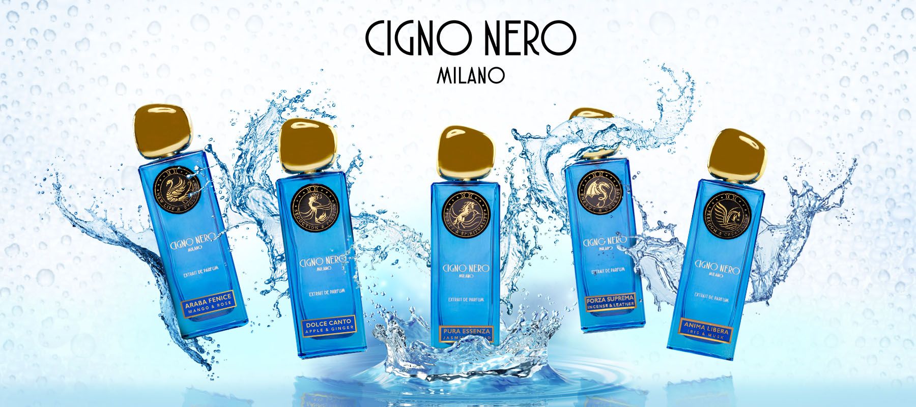 CIGNO NERO