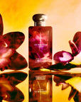 JO MALONE - DARK AMBER & GINGER LILY