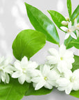 J SCENT - AURANTIUM JASMINE