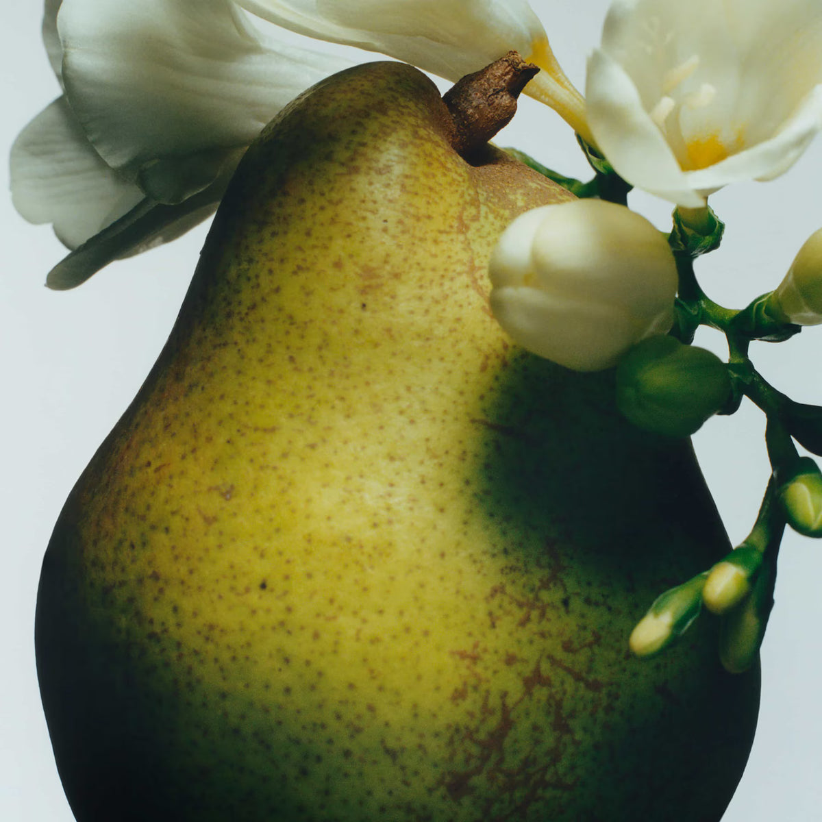 JO MALONE - ENGLISH PEAR &amp; FRESIA DIFFUSORE AMBIENTE